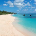 ラム酒のおすすめ(バミューダ、セント・マーティン島)